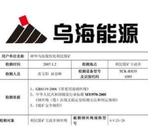 神华乌海煤焦化使用TCK.W评价报告